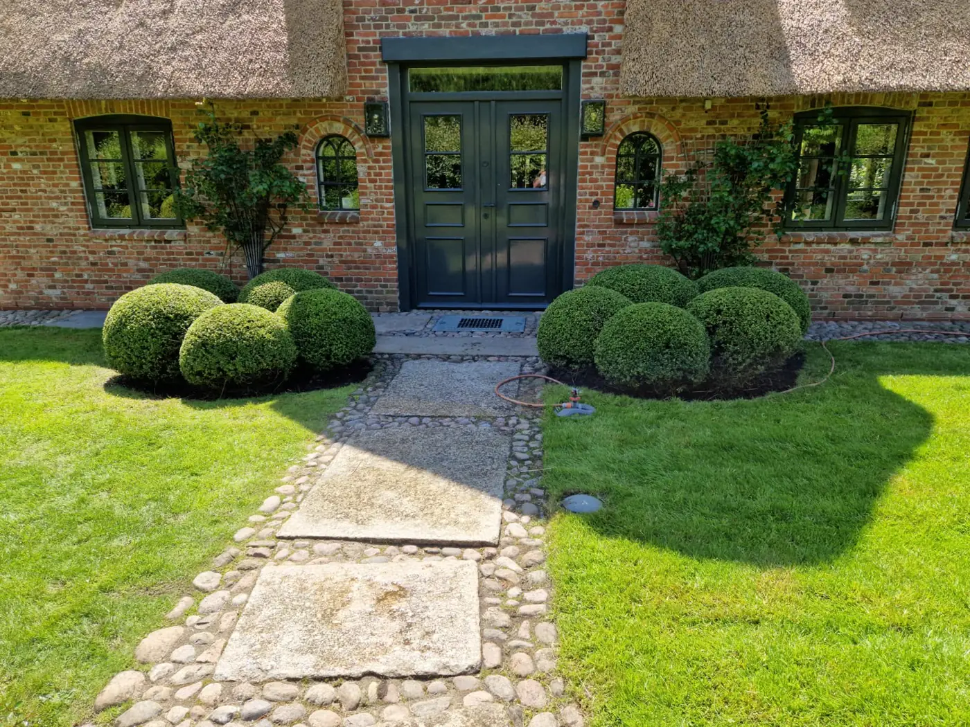 Buchskugeln beidseitig des Eingangs eines Reetdachhauses